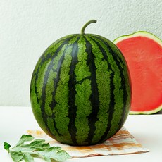 햇사레 다올찬 꿀수박, 7kg 이상, 1개