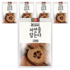 조은약초 자연을 담는다 건조 모과, 600g, 5개, 1개입