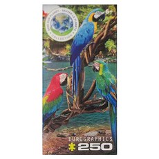 eurographicspuzzles 拼圖 PZ55883 7歲以上, 金剛鸚鵡 多色, 250片, 1盒