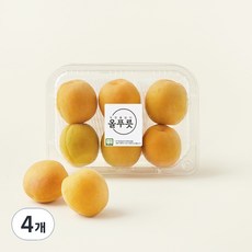 올푸릇 유기농 인증 살구 4~6입, 300g, 4개