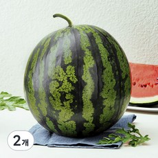 햇사레 다올찬 꿀수박, 9kg 이상, 2개