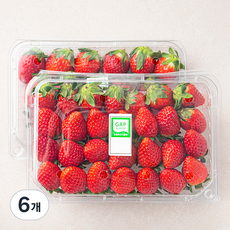과일진심 산청 GAP 인증 설향딸기, 500g, 6개