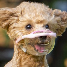 LUVLIV 狗狗透明嘴套, DCM-A-PK(蘋果粉), 1個