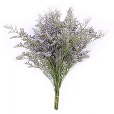 情人草 120g, 綠色 + 紫色