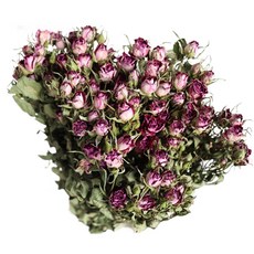 多頭乾燥玫瑰, 波塞尼娜, 1組