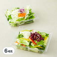 곰곰 유러피안 컷 콤보팩 샐러드 가든믹스 + 그린믹스 세트 160g, 2개입, 6세트