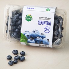 만나 미국 블루베리, 311g, 2개
