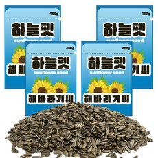 하늘펫 소동물 해바라기씨, 400g, 4개
