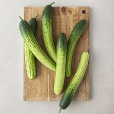 국내산 백오이