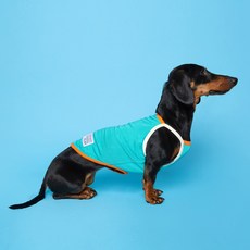 Flot 拼色狗狗背心, 薄荷綠