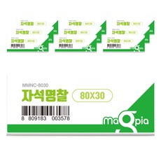 magpia 磁性名牌 80*30mm, 混色, 10片