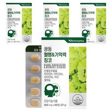 광동 혈행&기억력 징코, 60정, 4개