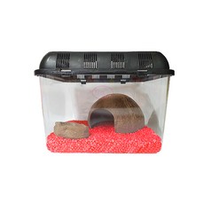 Rora Pet 2號 彩石 櫻桃紅色 寄居蟹飼養套組, 1套