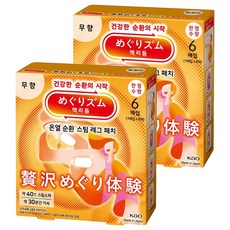 美舒律 蒸氣溫熱腿部貼片 6片, 2個
