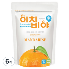 이치비야 동결건조 과일칩 감귤, 17g, 6개