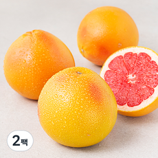 곰곰 미국산 자몽, 1kg, 2개