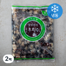 아리농장 함평천지 우렁이살 (냉동), 500g, 2팩