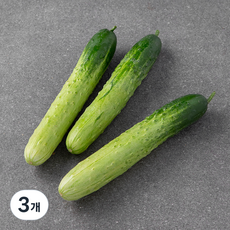 스마트팜 다다기오이, 160g, 3개, 5개입