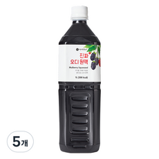 이제부터 진짜 오디 원액, 1L, 5개