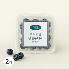 프리미엄 왕 블루베리, 100g, 2개