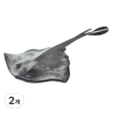 Safari Ltd 魟魚 魟魚公仔 100507, 2個