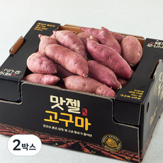 맛젤 꿀밤고구마, 3kg(중), 2박스