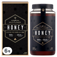 고은담 프리미엄 자연 야생화 순수 벌꿀, 6개, 1.1kg