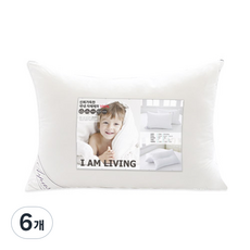 아임리빙 소프트터치 마이크로화이버 베개솜, 화이트, 6개