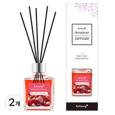 바이향 리프레싱 홈닥터 디퓨져, 블랙체리, 100ml, 2개
