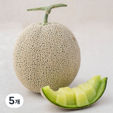 곡성 고당도 맘에쏙 멜론, 1.9kg, 5개