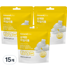 내츄럴플러스 상쾌한 자일리톨, 40g, 15개
