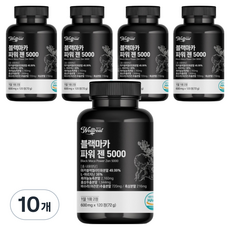 웰트릿 블랙마카 파워 젠 5000, 72g, 10개