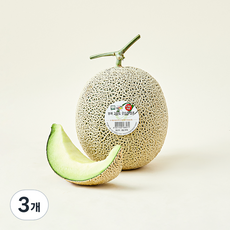 굿뜨레 부여 고당도 멜론, 2.5kg, 3개