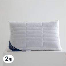 담소온 편안한 깃털 베게 800g, 화이트, 2개