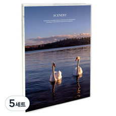 Recoz A5 風景照片方格筆記本 + PVC封套組, 5套, 02 天鵝(筆記本)