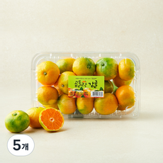 제주 남원농협 곱들락 감귤 로열과, 1.2kg, 5개