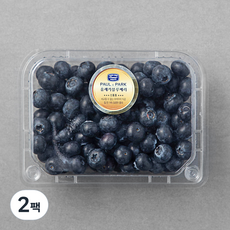 폴앤박 칠레산 유레카 블루베리, 310g, 2팩