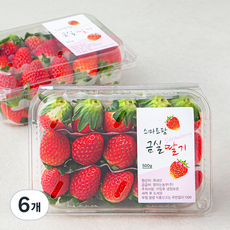 산지직송 스마트팜 김제 금실딸기 상, 500g, 6개