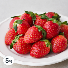 팜앤푸드 한단 설향 딸기 대과, 5팩, 500g