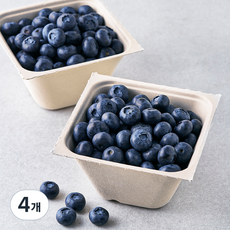 아주마 산지직송 영동 대왕 블루베리, 260g, 4개