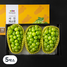 아리당찬 비파괴 당도선별 샤인머스캣, 5박스, 2.4kg(3수)