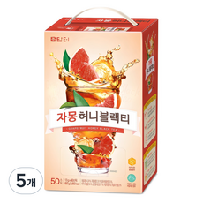 담터 자몽 허니 블랙티 분말, 13g, 50개입, 5개