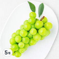 샤인머스켓, 500g, 5개