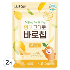 루솔 과일칩 망고 그대로 바로칩, 15g, 2개