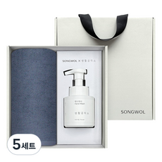 송월타월 생활공작소 클린무지 세면타월 150g 30수 면사 + 핸드워시 250ml 멀티 선물세트, 진하늘, 5세트