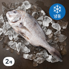 아라보감 맛 좋기로 소문난 남해 미조 손질 참돔 탕용 / 구이용 (냉동), 600~800g, 2개