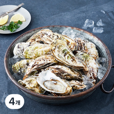 어부심 완도 달고 고소한 맛이 일품인 각굴 (냉장), 3kg, 4개