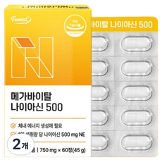 퍼니트 메가 바이탈 고함량 나이아신 500 45g, 2개, 60정