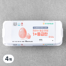 목계촌 1+ 등급 계란 520g, 10구, 4개