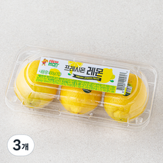 프레시몬 레몬 3입, 400g, 3개